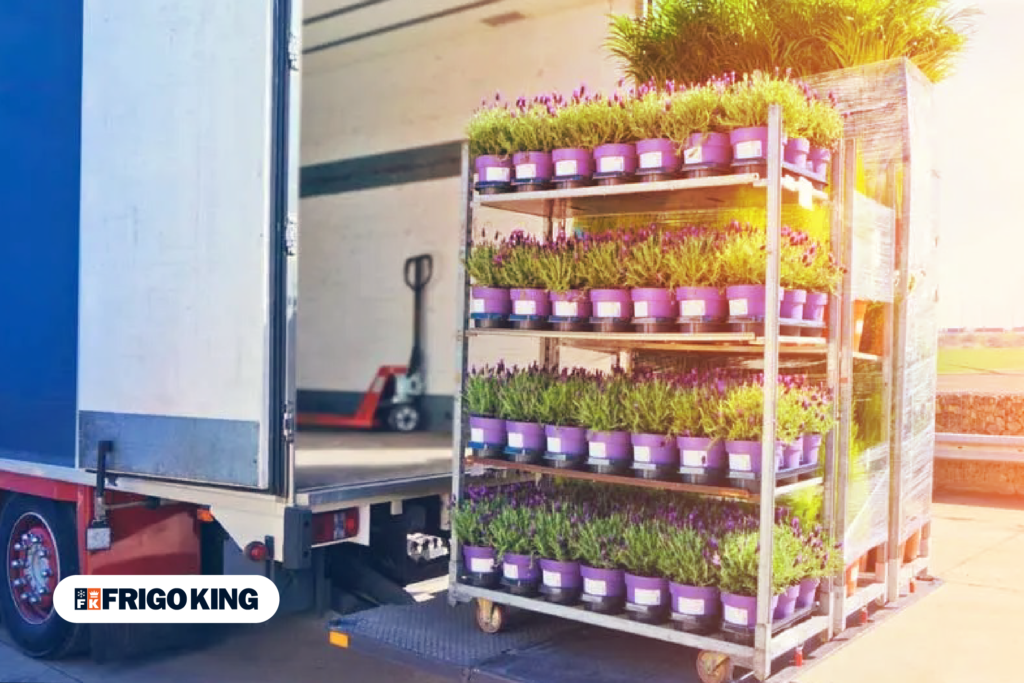 Identifique o melhor equipamento para o transporte de flores 3 ec0daf 64f2f14cde8947dd85ae8a2ade6533bcmv2